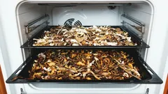 Säilytä metsän maku talveen – sienten kuivaus askel askeleelta