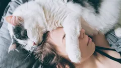 Miksi kissani tykkää nukkua pääni päällä?